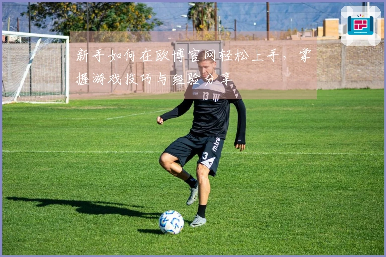 新手如何在欧博官网轻松上手,掌握游戏技巧与经验分享