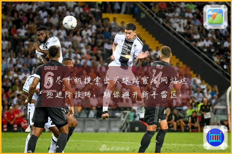 历尽千帆摸索出买球站官方网站这些进阶技巧，助你避开新手雷区，稳赚收益。
